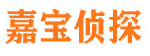 原阳市私家侦探